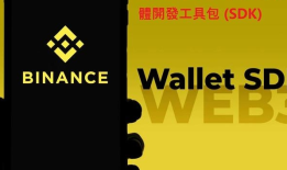 币安(Binance)新手使用指南（2025最新版）